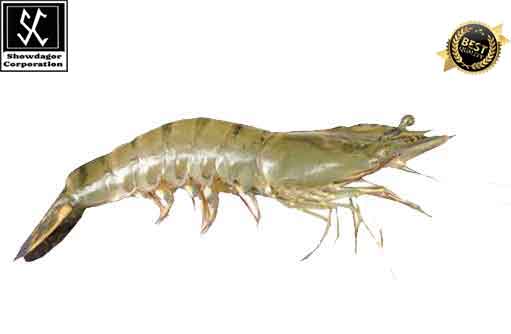 Free HTML5 template by FREEHTML5.co